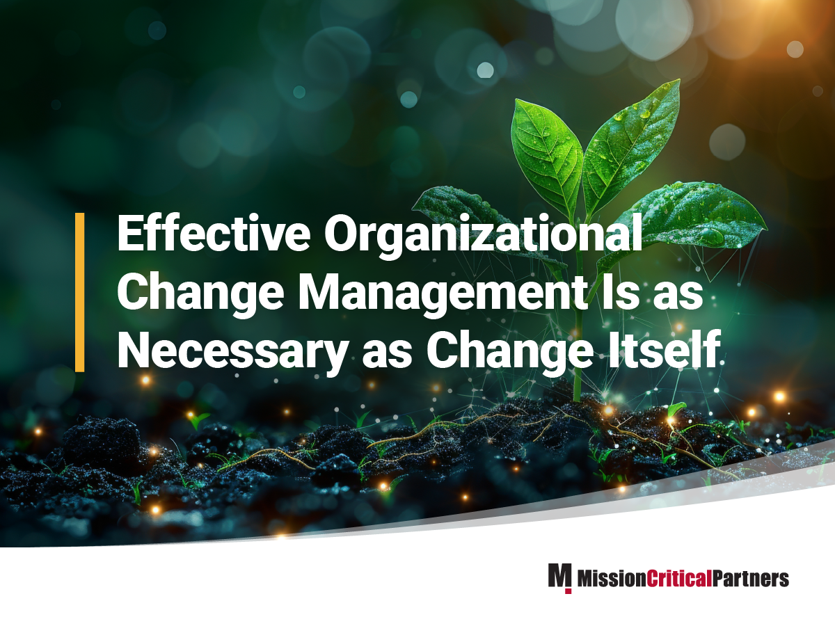 Effective Organizational Change Management Is as Necessary as Change Itself