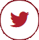 twitter_icon